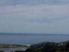 thumbs/NZ_Riki_1746.jpg