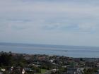 thumbs/NZ_Riki_1747.jpg