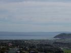thumbs/NZ_Riki_1748.jpg
