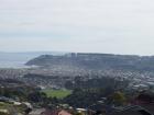 thumbs/NZ_Riki_1749.jpg