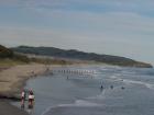 thumbs/NZ_Riki_1750.jpg
