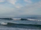 thumbs/NZ_Riki_1751.jpg