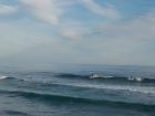 thumbs/NZ_Riki_1752.jpg