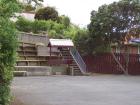 thumbs/NZ_Riki_1758.jpg
