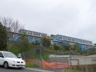 thumbs/NZ_Riki_1763.jpg