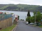 thumbs/NZ_Riki_1764.jpg