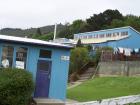thumbs/NZ_Riki_1765.jpg