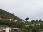 thumbs/NZ_Riki_1766.jpg