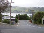 thumbs/NZ_Riki_1767.jpg