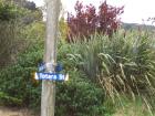 thumbs/NZ_Riki_1768.jpg