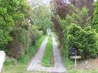thumbs/NZ_Riki_1770.jpg