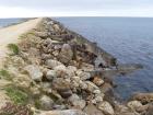 thumbs/NZ_Riki_1773.jpg