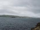 thumbs/NZ_Riki_1776.jpg