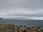 thumbs/NZ_Riki_1777.jpg