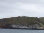 thumbs/NZ_Riki_1782.jpg
