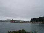 thumbs/NZ_Riki_1783.jpg