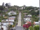thumbs/NZ_Riki_1793.jpg