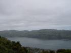 thumbs/NZ_Riki_1796.jpg