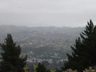 thumbs/NZ_Riki_1798.jpg
