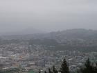thumbs/NZ_Riki_1799.jpg