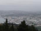 thumbs/NZ_Riki_1800.jpg