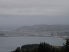 thumbs/NZ_Riki_1801.jpg