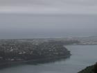 thumbs/NZ_Riki_1802.jpg