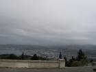 thumbs/NZ_Riki_1810.jpg