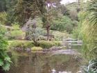 thumbs/NZ_Riki_1816.jpg