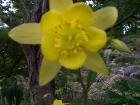 thumbs/NZ_Riki_1824.jpg