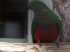 thumbs/NZ_Riki_1834.jpg