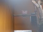 thumbs/NZ_Riki_1838.jpg