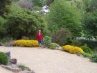 thumbs/NZ_Riki_1849.jpg