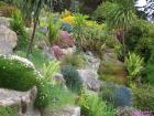 thumbs/NZ_Riki_1850.jpg