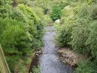 thumbs/NZ_Riki_1856.jpg