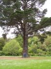 thumbs/NZ_Riki_1860.jpg