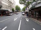 thumbs/NZ_Riki_1869.jpg