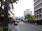 thumbs/NZ_Riki_1878.jpg
