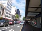 thumbs/NZ_Riki_1906.jpg