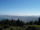 thumbs/NZ_Riki_1966.jpg