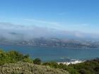 thumbs/NZ_Riki_1967.jpg