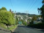 thumbs/NZ_Riki_1971.jpg