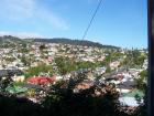 thumbs/NZ_Riki_1972.jpg