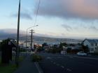 thumbs/NZ_Riki_1978.jpg