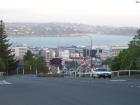 thumbs/NZ_Riki_1981.jpg