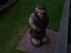 thumbs/NZ_Riki_1989.jpg