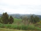 thumbs/NZ_Riki_2174.jpg