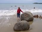 thumbs/NZ_Riki_2175.jpg