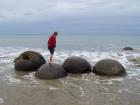 thumbs/NZ_Riki_2178.jpg