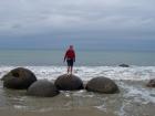 thumbs/NZ_Riki_2179.jpg